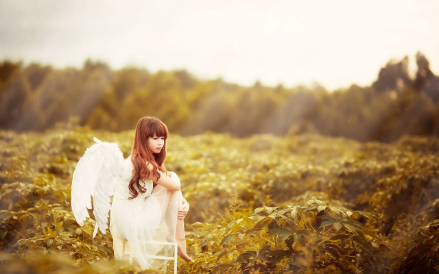 Angel wings field autumn sunset free wallpaper - medium preview image