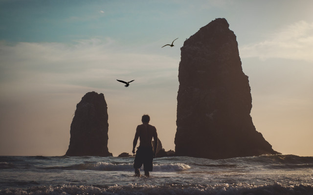 Man ocean rocks birds silhouette free wallpaper - medium preview image