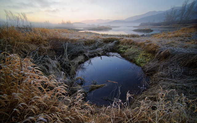 Foggy field pond trees sunset free wallpaper - medium preview image