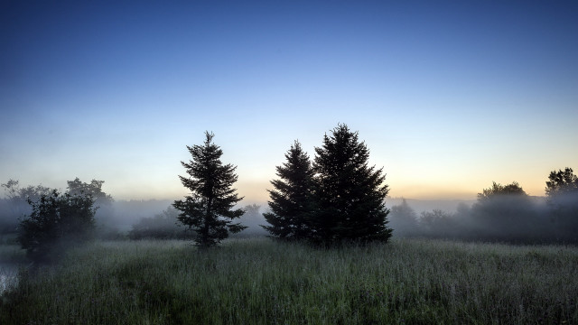 Foggy dawn forest lake mountains free wallpaper - medium preview image