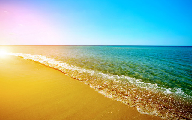 Beach wave sun shore ocean free wallpaper for desktop - medium preview image