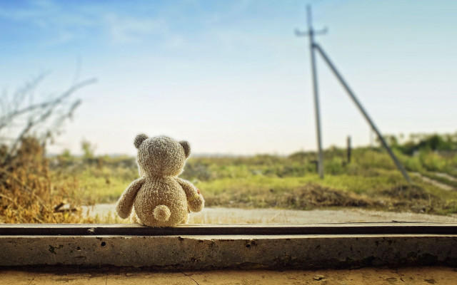 Teddy bear window sill field free wallpaper - medium preview image