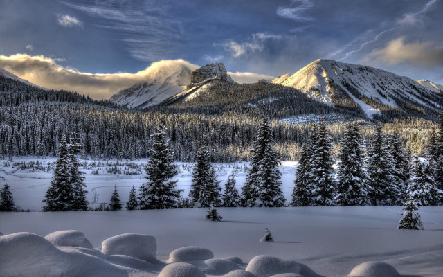 Snowy mountain forest cloudy sky free wallpaper - medium preview image