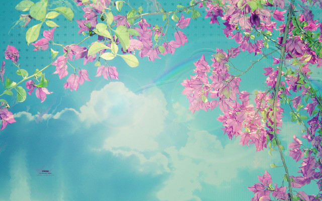 Purple flower tree rainbow blue free wallpaper - medium preview image