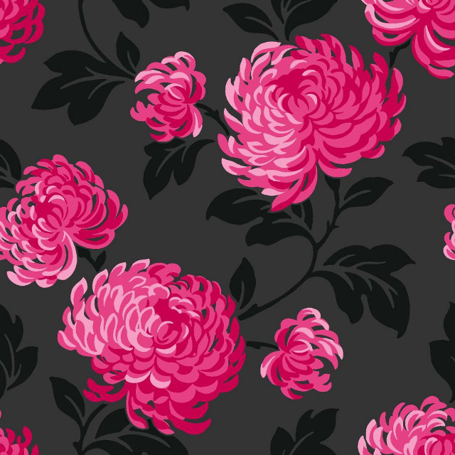Pink flower black background large free wallpaper - medium preview image