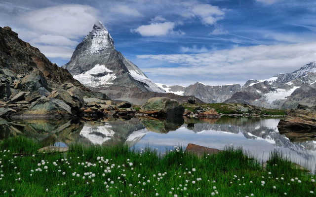 Mountain lake flower grass snowy free wallpaper - medium preview image