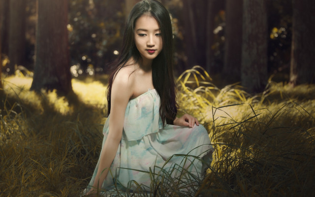 Woman dress field trees sunlight free wallpaper - medium preview image