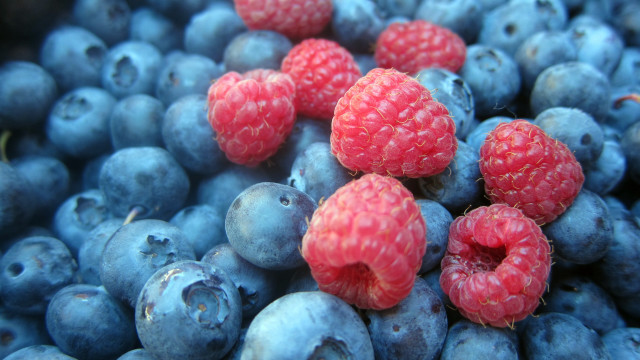 Blueberries raspberries macro photorealism blurry free wallpaper - medium preview image