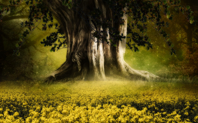 Tree field sunbeam autumn leaves free wallpaper - medium preview image