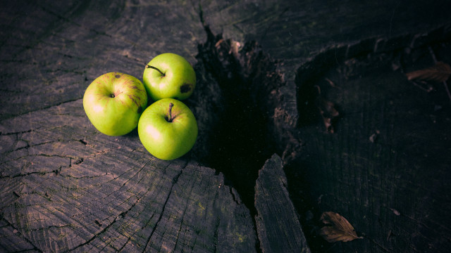 Three green apples tree stump free wallpaper - medium preview image