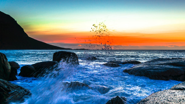 Bird flying over water rocky #2 free wallpaper - medium preview image