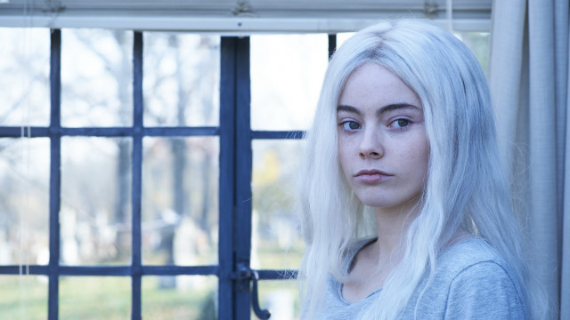 White hair blue shirt window free wallpaper - medium preview image