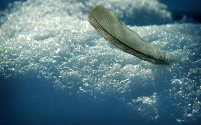 Feather water bubbles blue sky free wallpaper - medium preview image