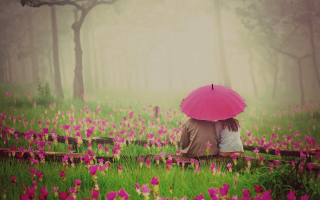 Couple umbrella flower rain romantic free wallpaper - medium preview image