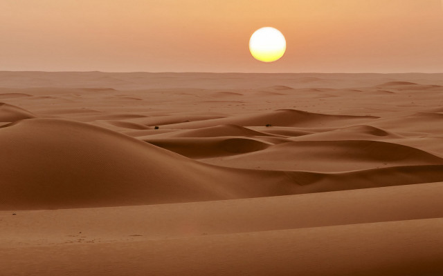 Desert sunset dunes bird moon free wallpaper - medium preview image