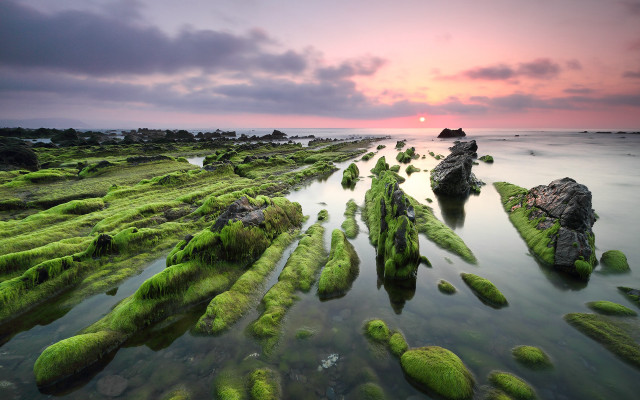 Sunset rocky beach moss water #6 free wallpaper - medium preview image