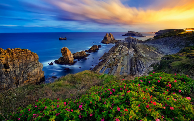 Sunset ocean rocky coastline flowers free wallpaper - medium preview image