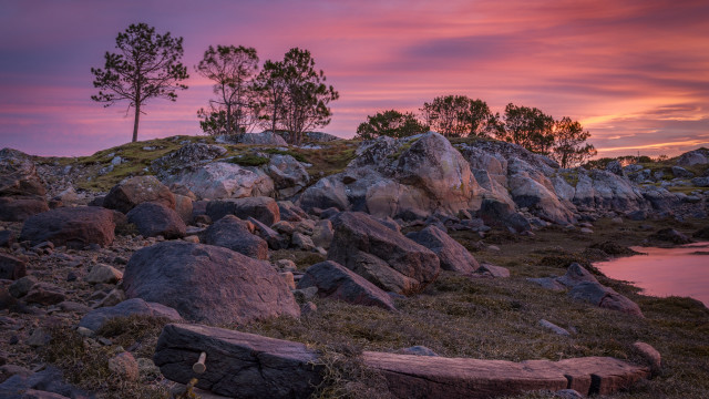 Rocky shore tree water sunset free wallpaper - medium preview image