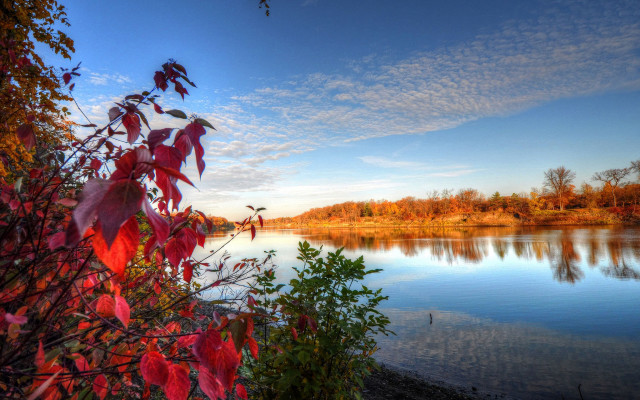 Lake trees clouds autumn bridge free wallpaper - medium preview image