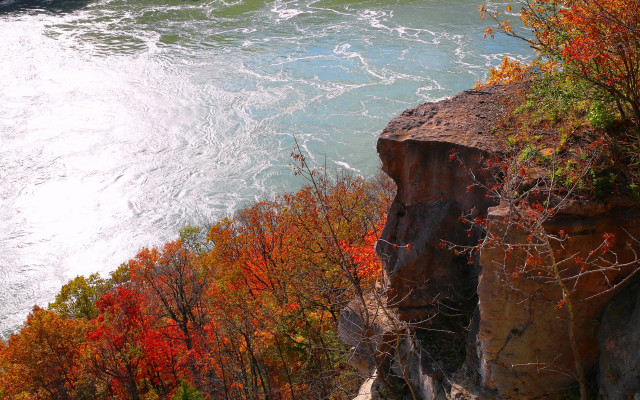 Hudson river autumn trees orange free wallpaper - medium preview image
