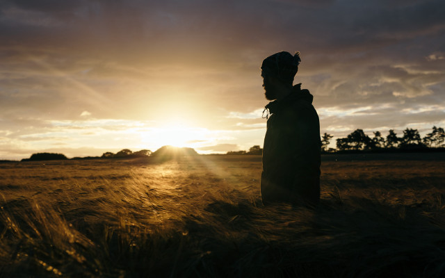Wheat field sunset man portrait free wallpaper - medium preview image