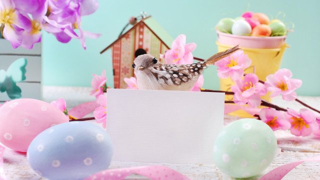 Bird card eggs flowers sign free wallpaper - medium preview image