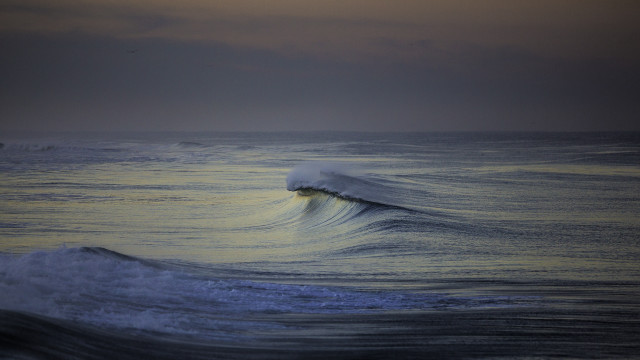 Ocean wave sunset bird precisionism free wallpaper - medium preview image