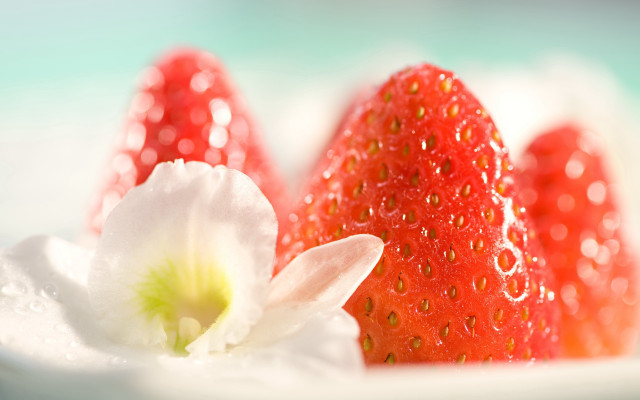 Strawberries flower plate water droplets free wallpaper - medium preview image