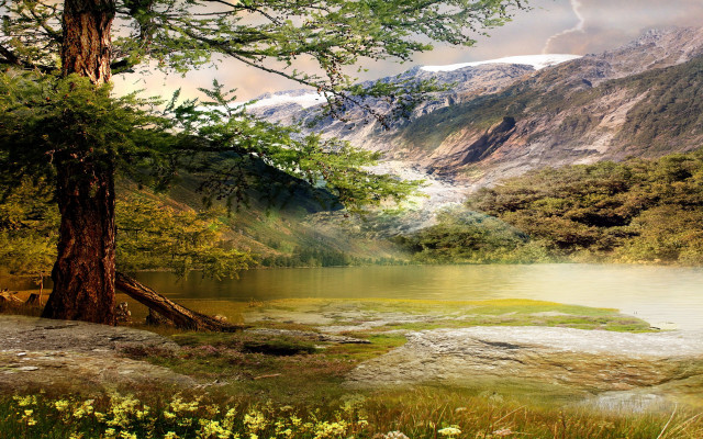 Mountain lake trees flowers cloudy free wallpaper - medium preview image