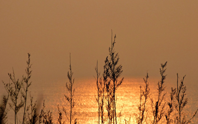 Sunset trees water clouds autumn free wallpaper - medium preview image