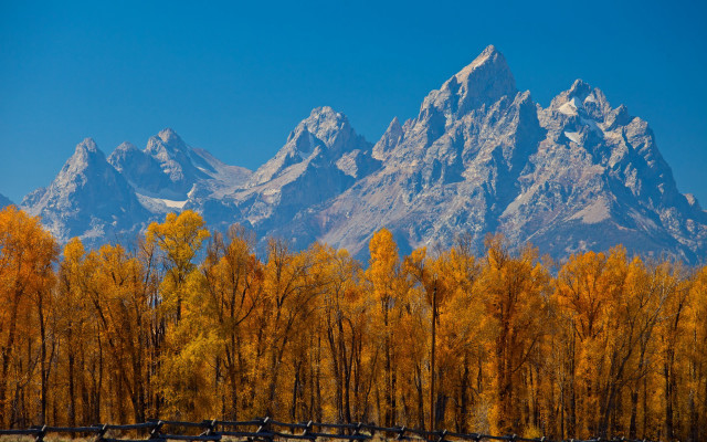 Mountain fence trees autumn leaves free wallpaper - medium preview image