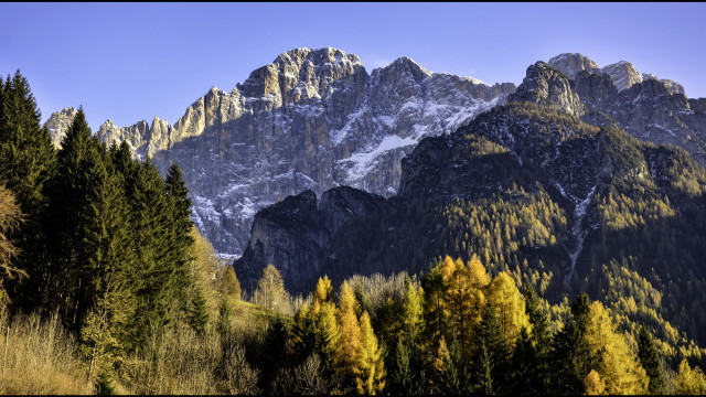 Mountain range trees snow blue free wallpaper - medium preview image