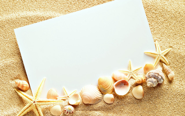Blank paper seashells sandy beach free wallpaper - medium preview image