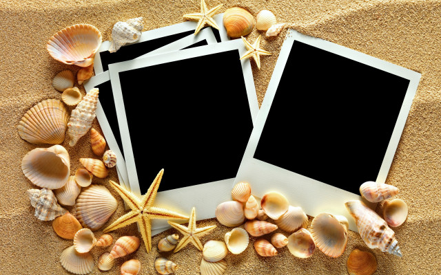 Beach polaroid shells starfish star free wallpaper - medium preview image