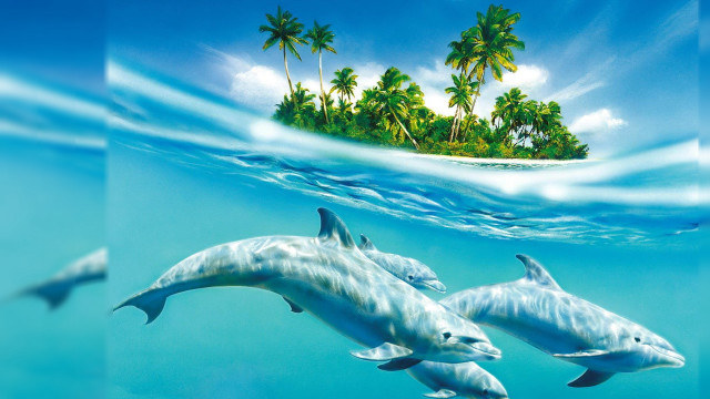 Dolphins swimming ocean island palm #2 free wallpaper - medium preview image