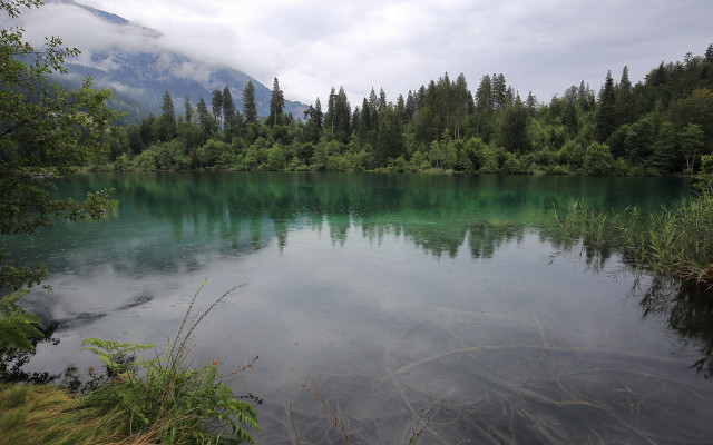 Lake forest mountain clouds foreground free wallpaper - medium preview image