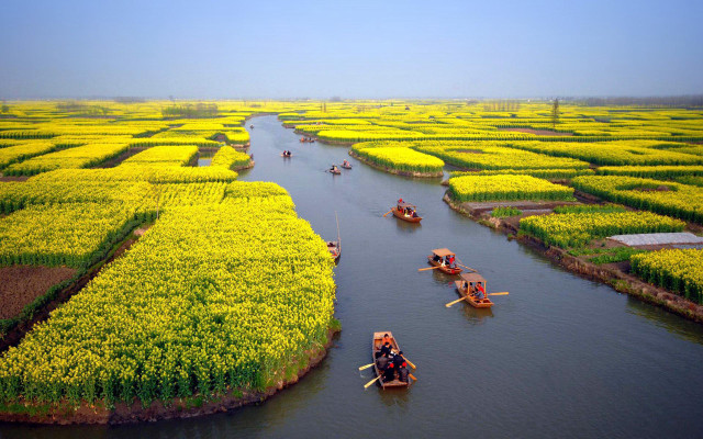 River people boats yellow flowers free wallpaper - medium preview image