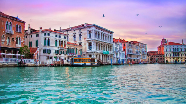 River bus city sky bird free wallpaper - medium preview image