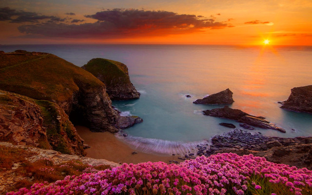 Sunset rocky beach pink flowers free wallpaper - medium preview image