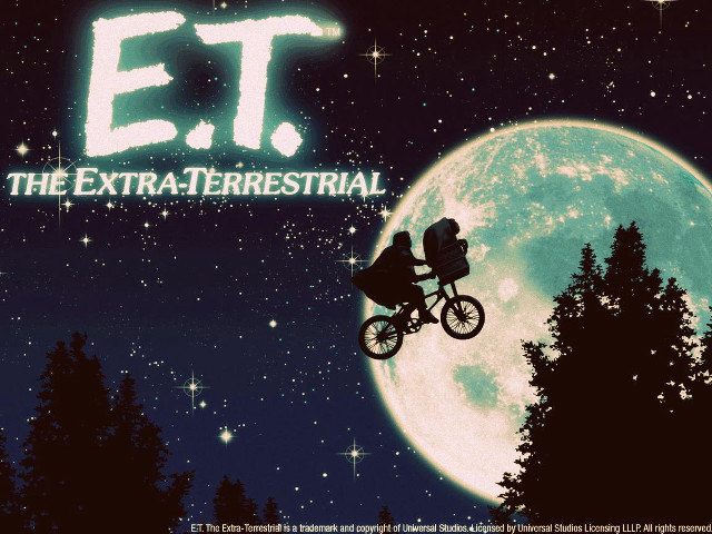 Man bike air forest full free wallpaper - medium preview image