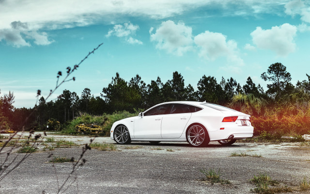 White car parking lot forest #2 free wallpaper - medium preview image