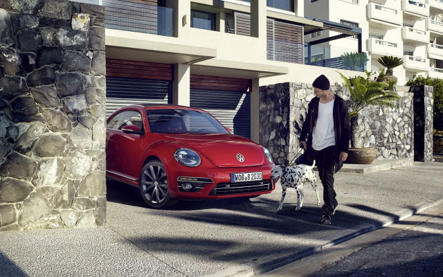Man dog red car street free wallpaper - medium preview image