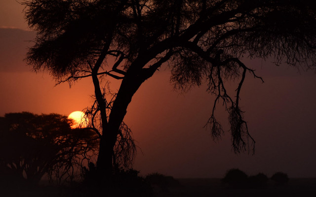 Sunset mountain lake bamboo tree free wallpaper - medium preview image