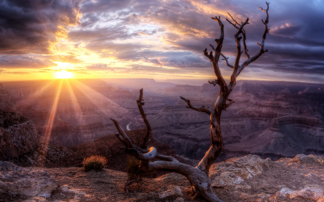 Sunset tree branch clouds lake free wallpaper - medium preview image
