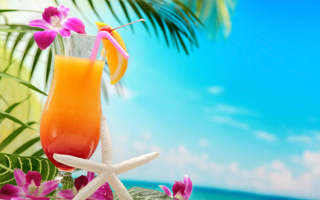Orange juice starfish beach flower free wallpaper - medium preview image