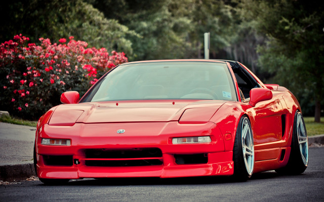 Red sports car bush flower free wallpaper - medium preview image