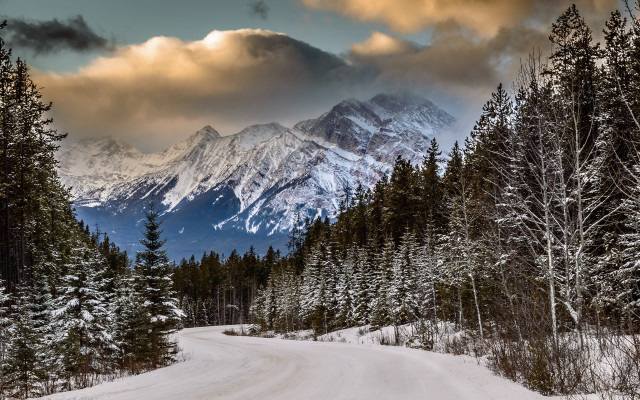 Forest mountain road sunset sky free wallpaper - medium preview image