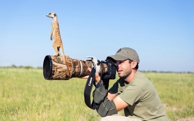 Man meerkat camera lens woodland free wallpaper - medium preview image
