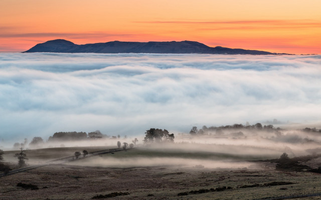 Mountain fog sunset trees horizon free wallpaper - medium preview image