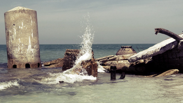 Driftwood ocean beach mountains sky free wallpaper - medium preview image